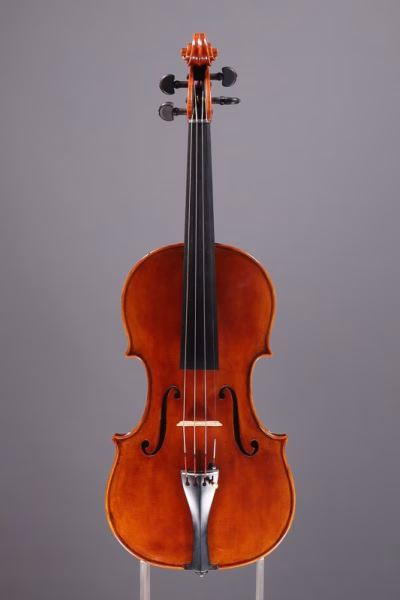 Violin by Laura Vigato, 2026, Brescia, Italy
